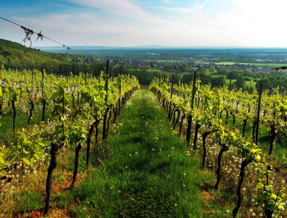 Weinmotel Simon 1 A Alzenau in Unterfranken Luaran gambar