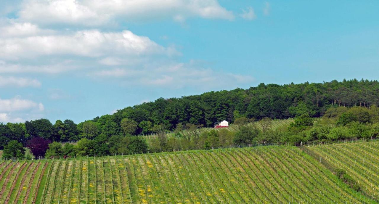 Weinmotel Simon 1 A Alzenau in Unterfranken Luaran gambar